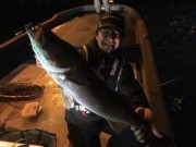 シーマジカル 釣果