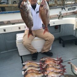 さんさん丸 釣果