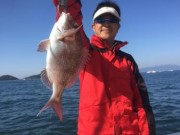 シーマジカル 釣果