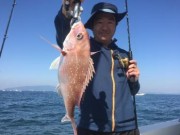 シーマジカル 釣果