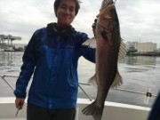 シーマジカル 釣果