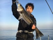 シーマジカル 釣果