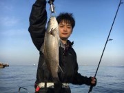 シーマジカル 釣果