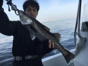 シーマジカル 釣果