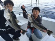 シーマジカル 釣果