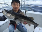 シーマジカル 釣果