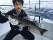 シーマジカル 釣果