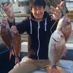 さんさん丸 釣果
