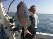 シーマジカル 釣果