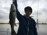 シーマジカル 釣果