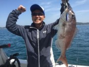 シーマジカル 釣果