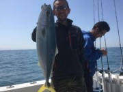 シーマジカル 釣果