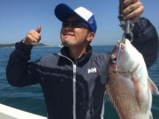 シーマジカル 釣果