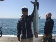 シーマジカル 釣果