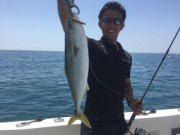 シーマジカル 釣果