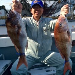 さんさん丸 釣果