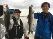 シーマジカル 釣果