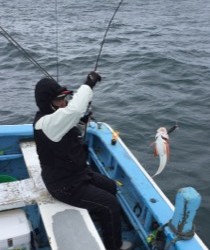 征海丸 釣果