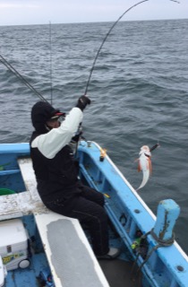 征海丸 釣果