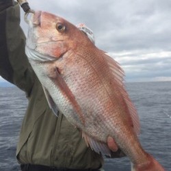 Blue.win 海人丸 釣果