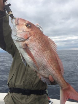 Blue.win 海人丸 釣果