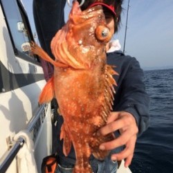 Blue.win 海人丸 釣果