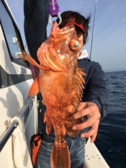 Blue.win 海人丸 釣果