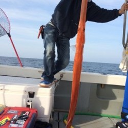 Blue.win 海人丸 釣果