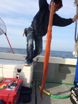 Blue.win 海人丸 釣果