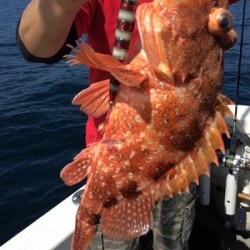 Blue.win 海人丸 釣果