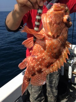 Blue.win 海人丸 釣果