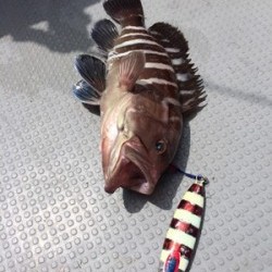 Blue.win 海人丸 釣果