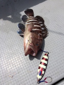 Blue.win 海人丸 釣果