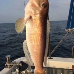 Blue.win 海人丸 釣果