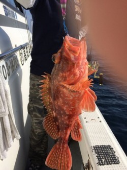 Blue.win 海人丸 釣果