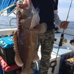 Blue.win 海人丸 釣果