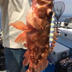 Blue.win 海人丸 釣果