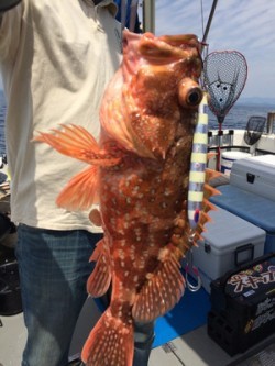 Blue.win 海人丸 釣果