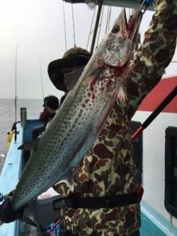 みやけ丸 釣果