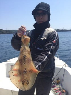 「LaGooN」蒼陽丸 日和号 釣果