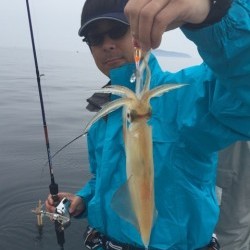 「LaGooN」蒼陽丸 日和号 釣果