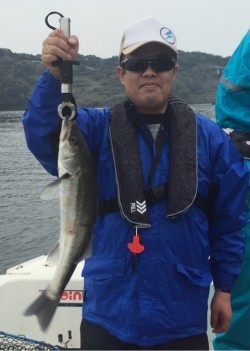 「LaGooN」蒼陽丸 日和号 釣果