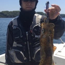 「LaGooN」蒼陽丸 日和号 釣果