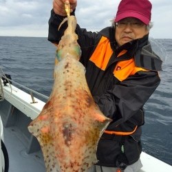 South Current 釣果