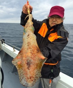 South Current 釣果