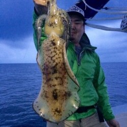 South Current 釣果