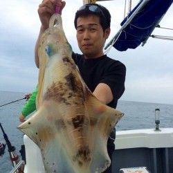 South Current 釣果