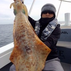 South Current 釣果