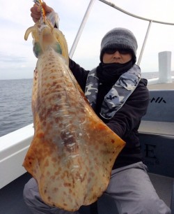 South Current 釣果