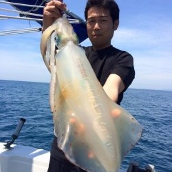 South Current 釣果